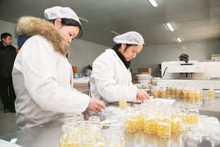 长葛蜂产业 星星之火，如何实现蜂火燎原