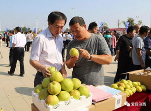 中国汾西第二届核桃节暨消费扶贫农产品展销会盛大开幕，助力初级农产品产业发展