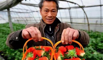 6亿人口农村电商 初级农产品的机遇与挑战