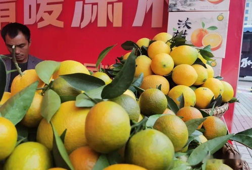 冷水滩 品味天然之味，开启农产品“买买买”之旅