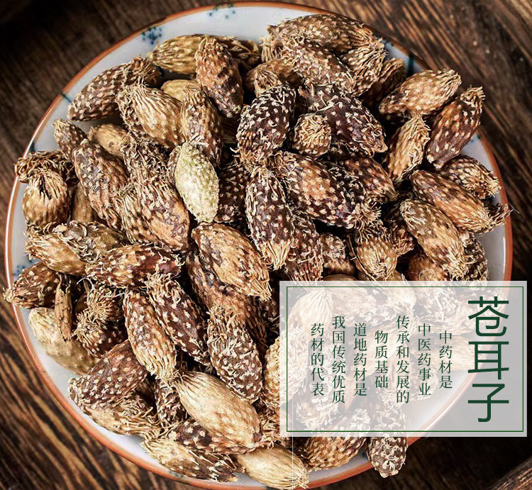 苍耳子与去刺苍耳 初级农产品的传统价值与应用