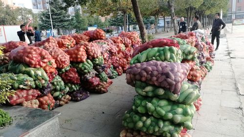 小萝卜，大爱心 阜南教育助力濛洼地区贫困户农产品销售