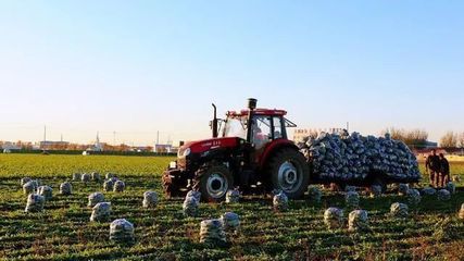 快递业发展加速与服务规范并行 从业务量第一到保价费争议