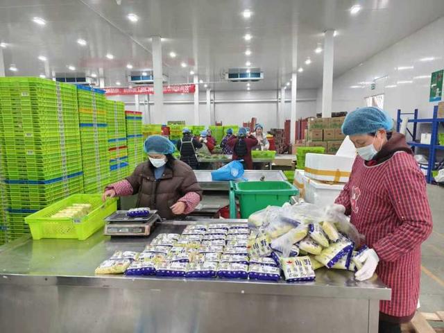 年味渐浓，果蔬禽畜开启“春运”模式