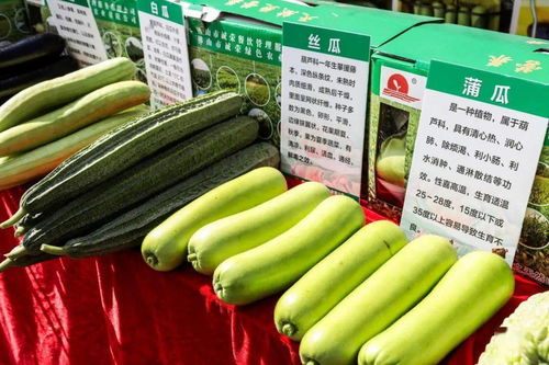 秋分时节庆丰收，佛山人的田园欢歌