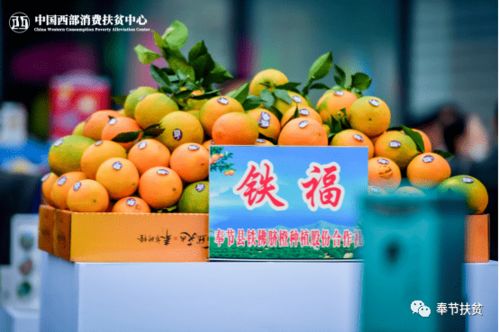 聚力消费扶贫高地，答好疫情加试题——重庆奉节初级农产品突围纪实