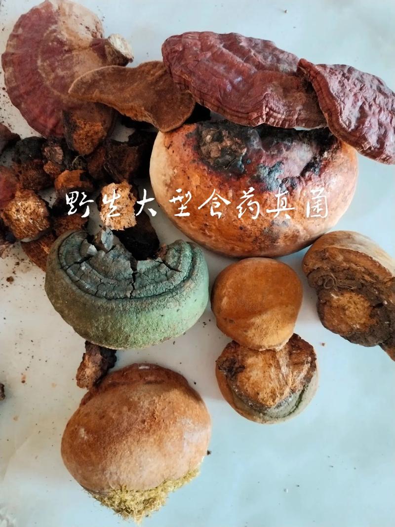 绿森林初级农产品 在抖音里记录每一份自然的美好