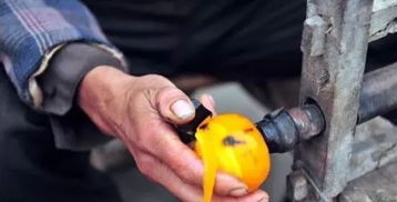 乡村旅游规划设计 赚取农业行业90%收入的初级农产品模式探索