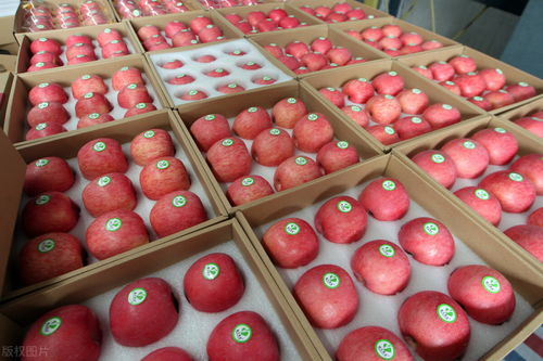 货主拉苹果蕉被收千元过路费 农产品分类争议引发关注