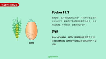 农产品基础知识系列 大豆、小麦与家禽家畜