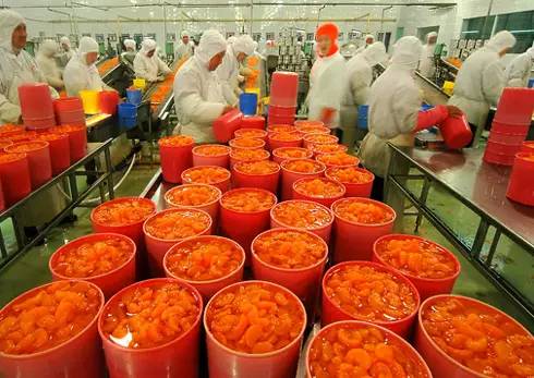 农业的五座“金矿” 抓住初级农产品机遇，实现创富增收